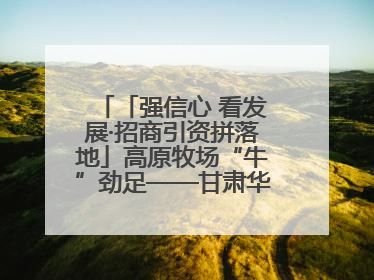 「强信心 看发展·招商引资拼落地」高原牧场“牛”劲足——甘肃华予高原牧场高标准奶牛肉牛养殖项目一线见闻