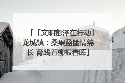 「文明彭泽在行动」龙城镇：桑果盈筐情绵长 育践五柳报春晖