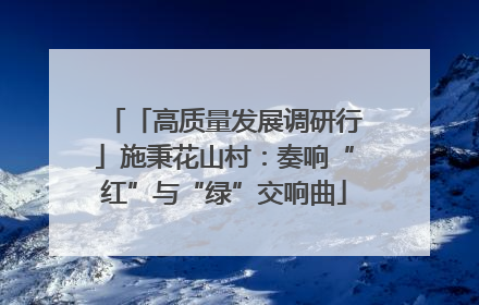 「高质量发展调研行」施秉花山村：奏响“红”与“绿”交响曲