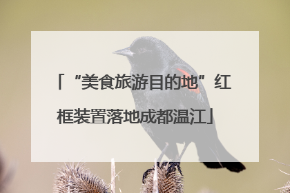 “美食旅游目的地”红框装置落地成都温江