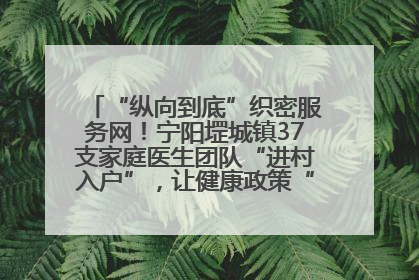 “纵向到底”织密服务网！宁阳堽城镇37支家庭医生团队“进村入户”，让健康政策“落地生根”