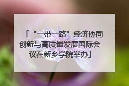 “一带一路”经济协同创新与高质量发展国际会议在新乡学院举办