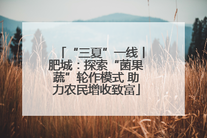 “三夏”一线丨肥城：探索“菌果蔬”轮作模式 助力农民增收致富