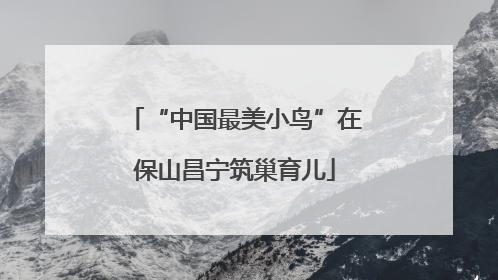 “中国最美小鸟”在保山昌宁筑巢育儿