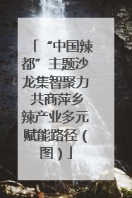 “中国辣都”主题沙龙集智聚力 共商萍乡辣产业多元赋能路径（图）