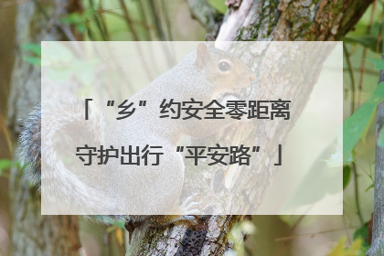 “乡”约安全零距离 守护出行“平安路”