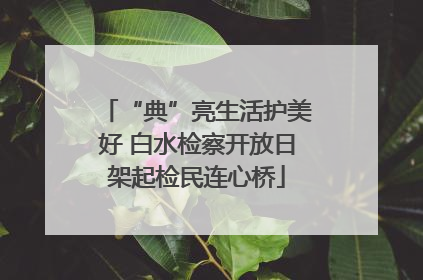 “典”亮生活护美好 白水检察开放日架起检民连心桥