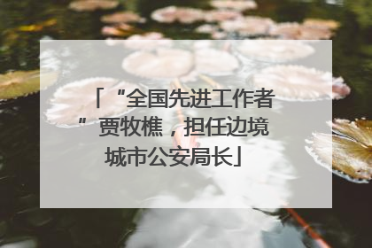 “全国先进工作者”贾牧樵，担任边境城市公安局长