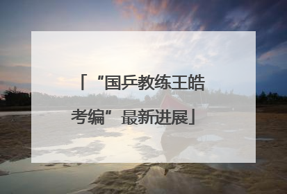 “国乒教练王皓考编”最新进展
