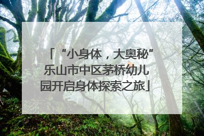 “小身体，大奥秘” 乐山市中区茅桥幼儿园开启身体探索之旅