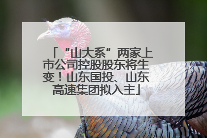 “山大系”两家上市公司控股股东将生变！山东国投、山东高速集团拟入主