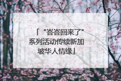 “峇峇回来了”系列活动传续新加坡华人情缘