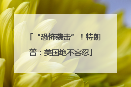 “恐怖袭击”！特朗普：美国绝不容忍