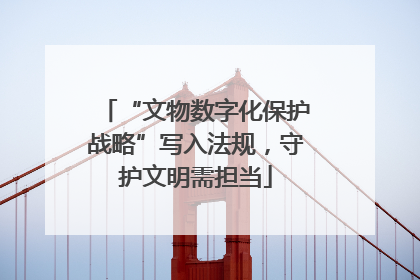 “文物数字化保护战略”写入法规，守护文明需担当