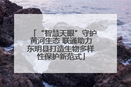 “智慧天眼”守护黄河生态 联通助力东明县打造生物多样性保护新范式