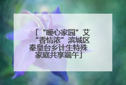 “暖心家园”艾“香情浓”滨城区秦皇台乡计生特殊家庭共享端午