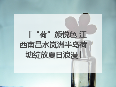 “荷”颜悦色 江西南昌水岚洲半岛荷塘绽放夏日浪漫