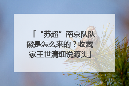 “苏超”南京队队徽是怎么来的？收藏家王世清细说源头