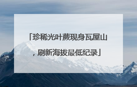 珍稀光叶蕨现身瓦屋山，刷新海拔最低纪录