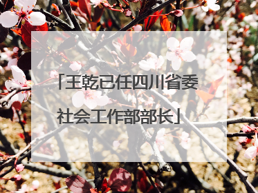 王乾已任四川省委社会工作部部长