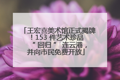 王宏喜美术馆正式揭牌！153 件艺术珍品 “ 回归 ” 连云港，并向市民免费开放