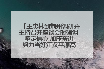 王忠林到荆州调研并主持召开座谈会时强调 坚定信心 加压奋进 努力当好江汉平原高质量发展排头兵