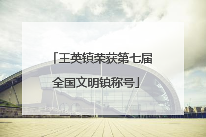 王英镇荣获第七届全国文明镇称号