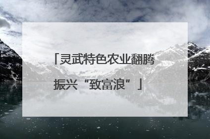 灵武特色农业翻腾振兴“致富浪”