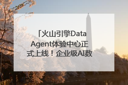 火山引擎Data Agent体验中心正式上线！企业级AI数据专家触手可及