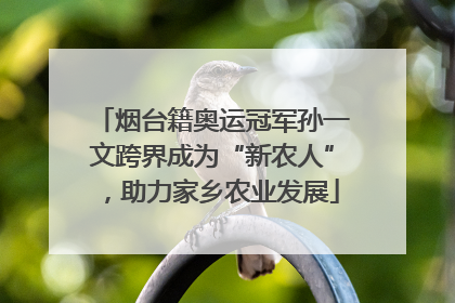 烟台籍奥运冠军孙一文跨界成为“新农人”，助力家乡农业发展