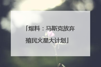 爆料：马斯克放弃殖民火星大计划