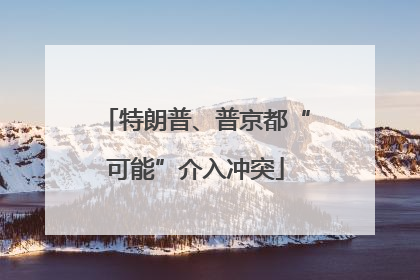 特朗普、普京都“可能”介入冲突