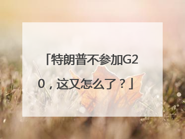 特朗普不参加G20，这又怎么了？