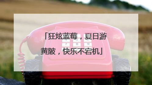 狂炫蓝莓，夏日游黄陂，快乐不宕机