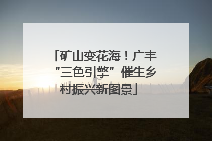 矿山变花海！广丰“三色引擎”催生乡村振兴新图景