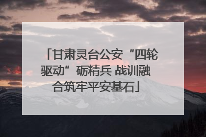 甘肃灵台公安“四轮驱动”砺精兵 战训融合筑牢平安基石