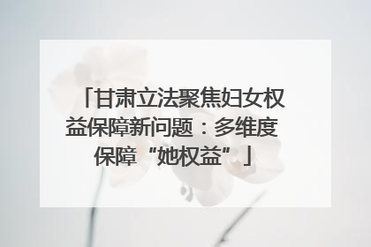 甘肃立法聚焦妇女权益保障新问题：多维度保障“她权益”