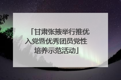 甘肃张掖举行推优入党暨优秀团员党性培养示范活动