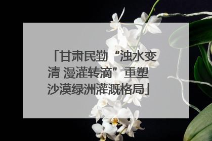 甘肃民勤“浊水变清 漫灌转滴”重塑沙漠绿洲灌溉格局
