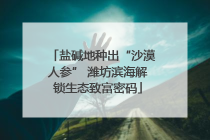 盐碱地种出“沙漠人参” 潍坊滨海解锁生态致富密码