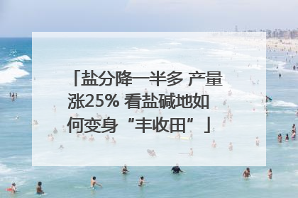 盐分降一半多 产量涨25% 看盐碱地如何变身“丰收田”