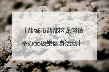 盐城市盐都区龙冈镇举办太极拳健身活动