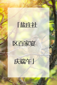 盐庄社区百家宴庆端午