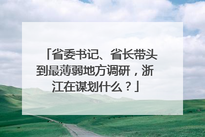 省委书记、省长带头到最薄弱地方调研，浙江在谋划什么？