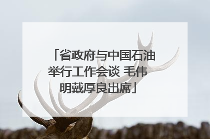 省政府与中国石油举行工作会谈 毛伟明戴厚良出席