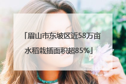 眉山市东坡区近58万亩水稻栽插面积超85%