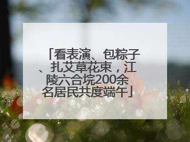 看表演、包粽子、扎艾草花束，江陵六合垸200余名居民共度端午