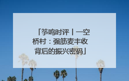 筝鸣时评丨一空桥村：强筋麦丰收背后的振兴密码