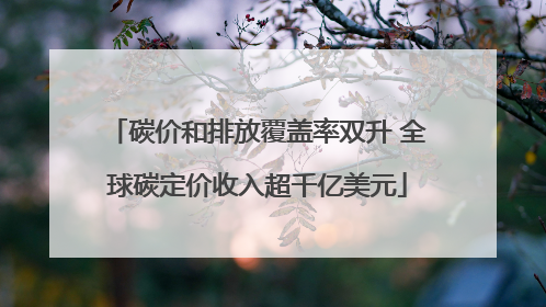 碳价和排放覆盖率双升 全球碳定价收入超千亿美元