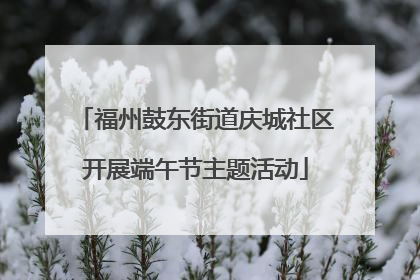 福州鼓东街道庆城社区开展端午节主题活动